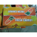 Anqiu Carrot ფორთოხლის ფერით